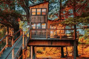 A luxury treehouse for glamping