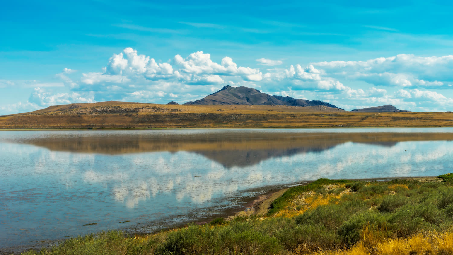 Antelope Island campground Antelope Island 2025