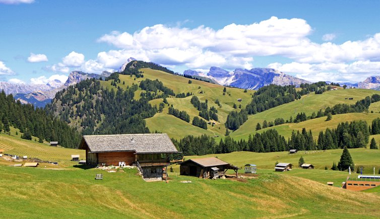 Nature Park in the Dolomites