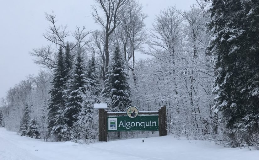 Algonquin Provincial Park, Ontario