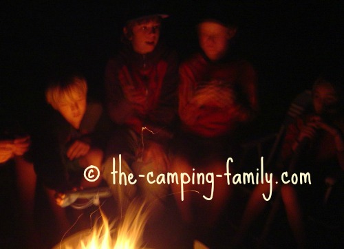 people around the campfire