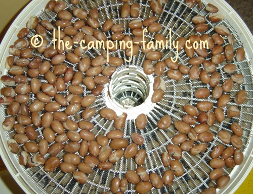 food dehydrator tray with beans