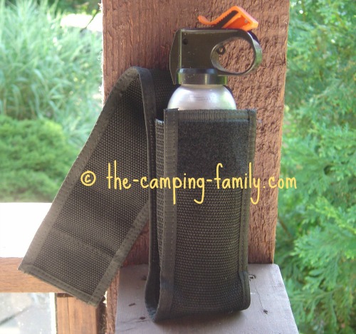 bear spray in holster