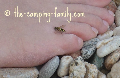 insect on a person's foot