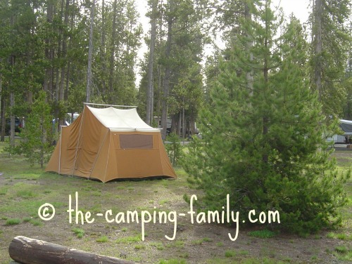 canvas tent in treed campsite