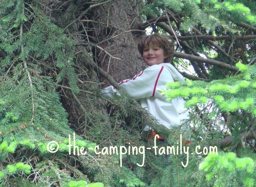 boy climbing tree