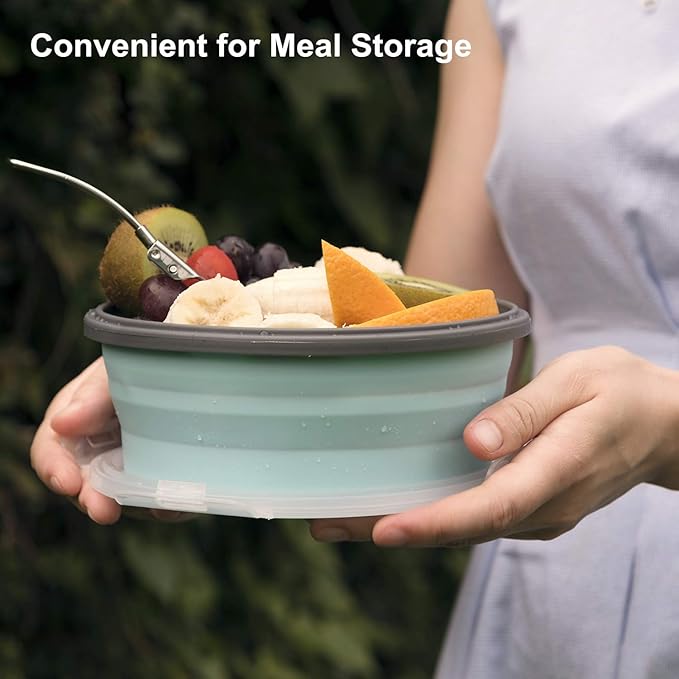 collapsible bowl 2025