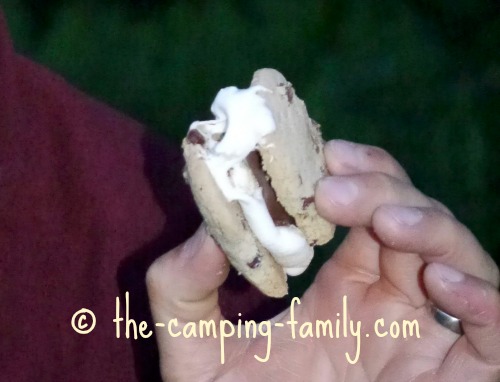 chocolate chip cookies Smore