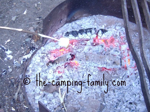 roasting a marshmallow over coals