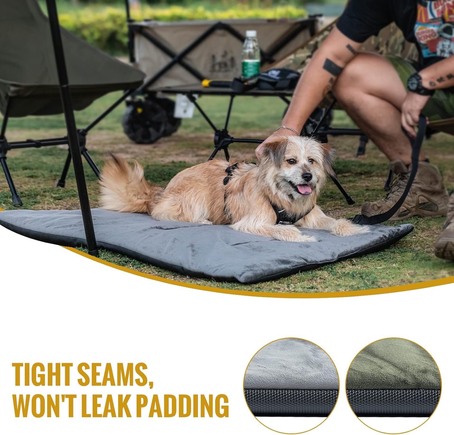 dog bed for camping