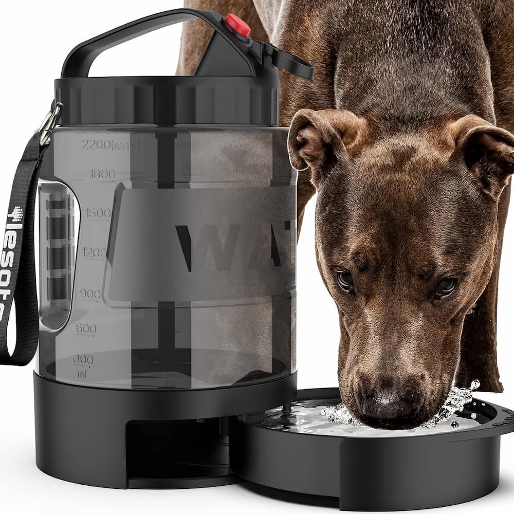portable dog bottle and bowl