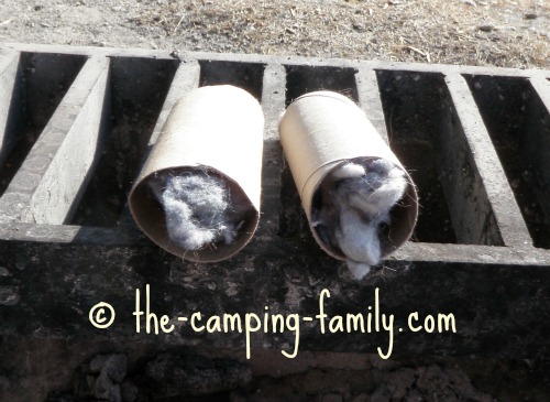 dryer lint inside toilet paper tubes