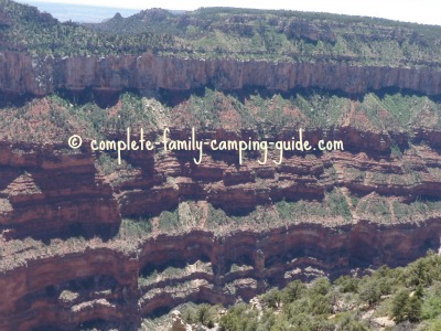 Tree-covered slopes at the side of the Grand Canyon Tree-covered slopes at the side of the Grand Canyon