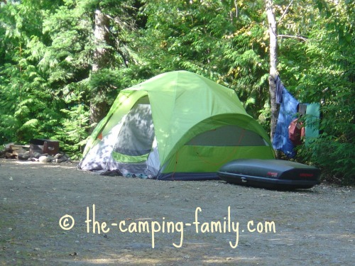 green tent in wooded campsite