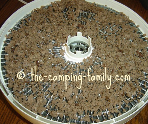 cooked ground beef in dehydrator