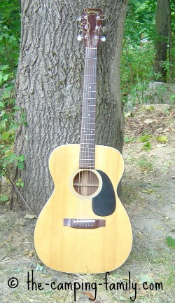 acoustic guitar