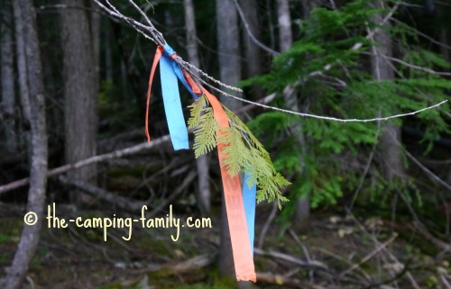 flagging tape in a tree