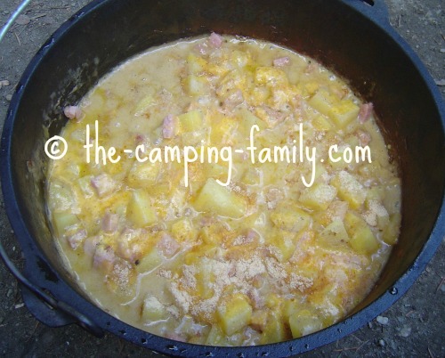 https://www.thecampingfamily.com/images/hamandcheesegratinfromabove.jpg