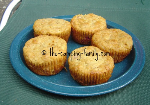 healthy berry muffins on a camping plate