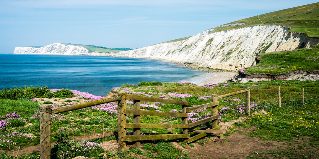Isle of Wight Cliffs
