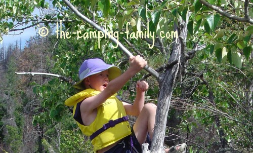 boy wearing life jacket climbing tree