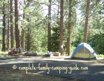 A tent set up at a camp ground under trees A tent set up at a camp ground under trees