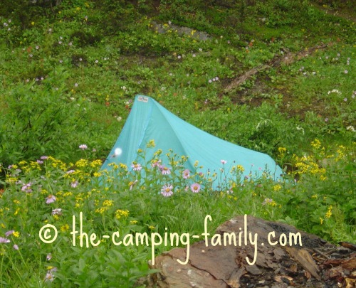 backpacking tent in meadow
