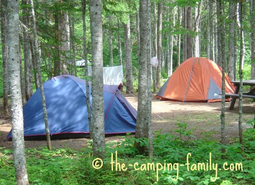 wooded campsite with tents