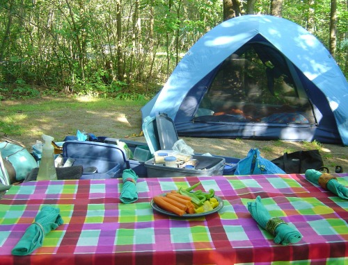 tent and picnic table