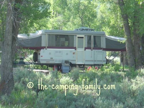 tent camper in a wooded campsite