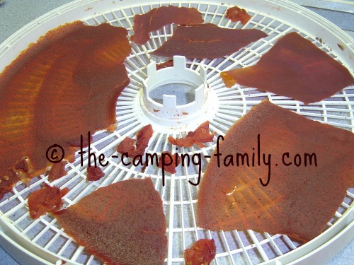 dried tomato sauce in dehydrator