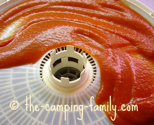 food dehydrator plastic sheet with tomato sauce