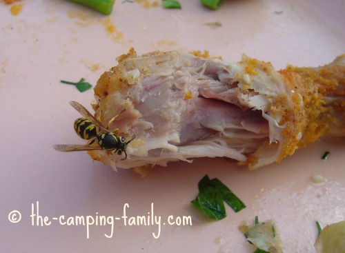 wasp on chicken leg