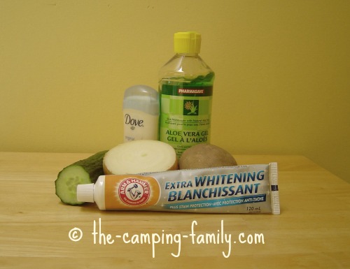 home remedies for bees and wasps