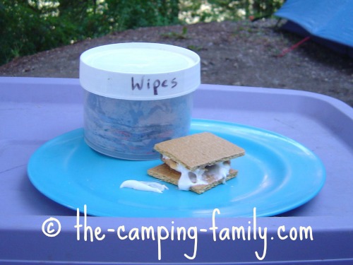 homemade baby wipes and Smores