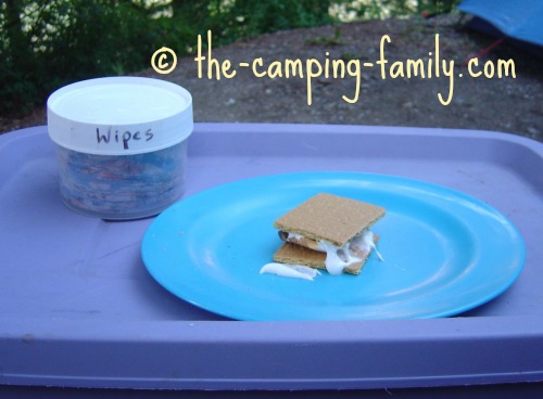 homemade baby wipes and Smores