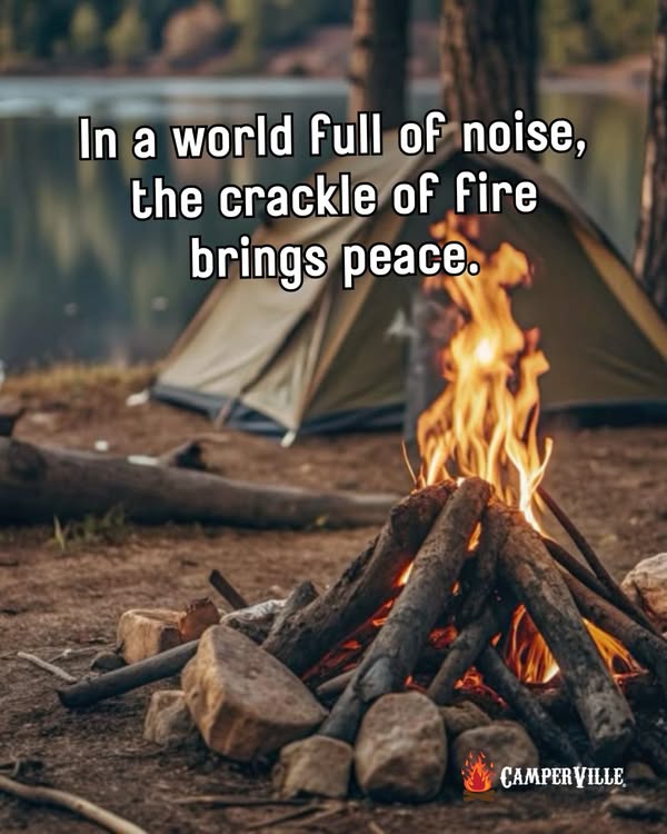 Quote World of Noise Quote World of Noise