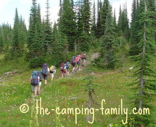 hikers in meadow