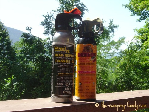 two canisters of bear repellent spray