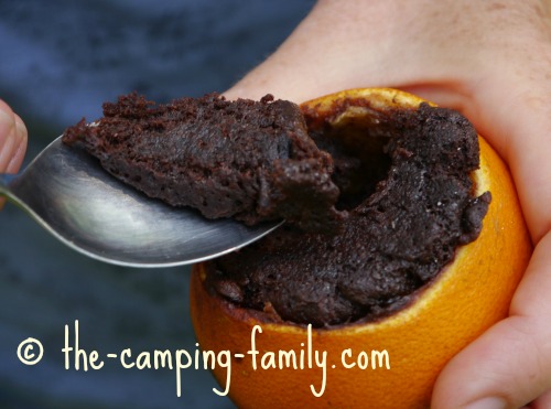 brownie in an orange shell