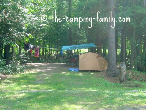 campsite in the woods