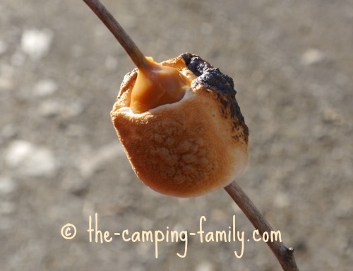 marshmallow and caramel on a stick
