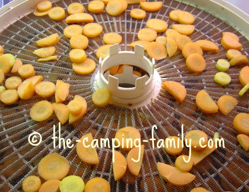 food dehydrator tray with carrots