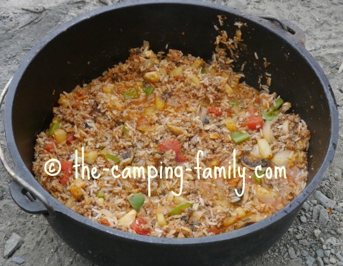 cooked rice and meat and toppings