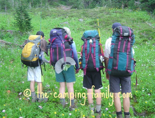 four backpackers