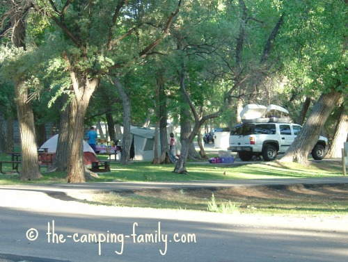 wooded campground