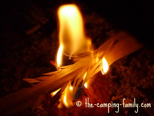 burning twigs
