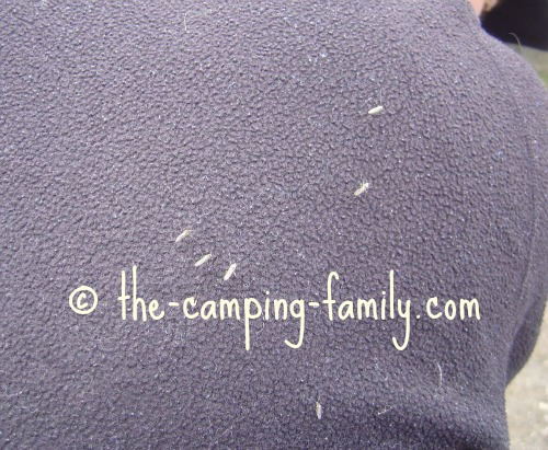 many mosquitoes on black jacket