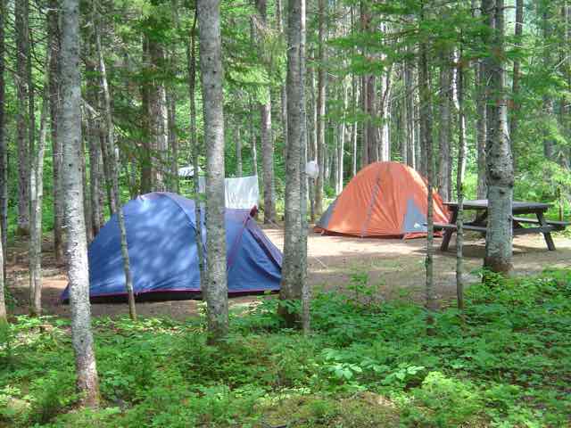 two tents in wooded campsite