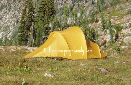 backpacking tent in alpine meadow